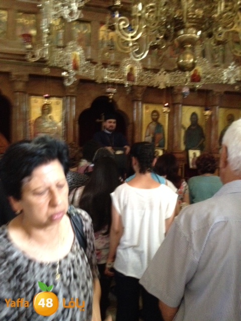 qostanteen 0531 (8).JPG